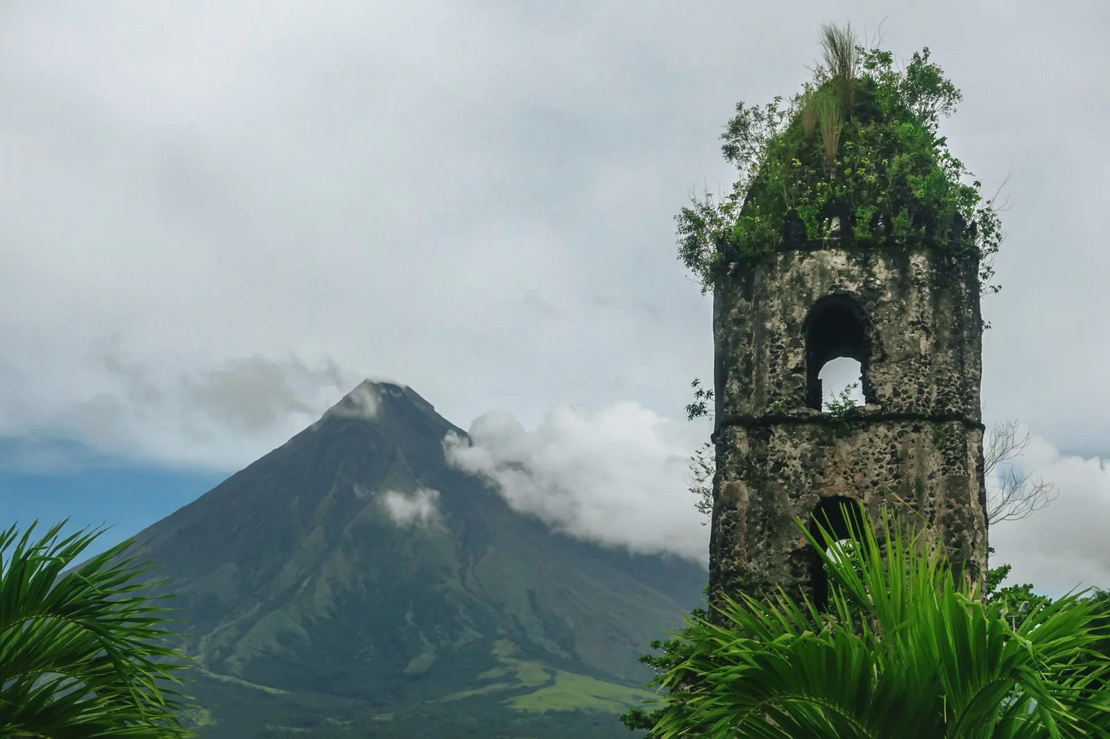 Albay gallery view 2