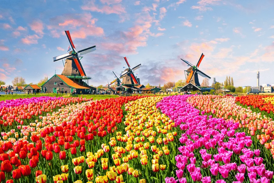 Amsterdam, Berlin & Prague travel package