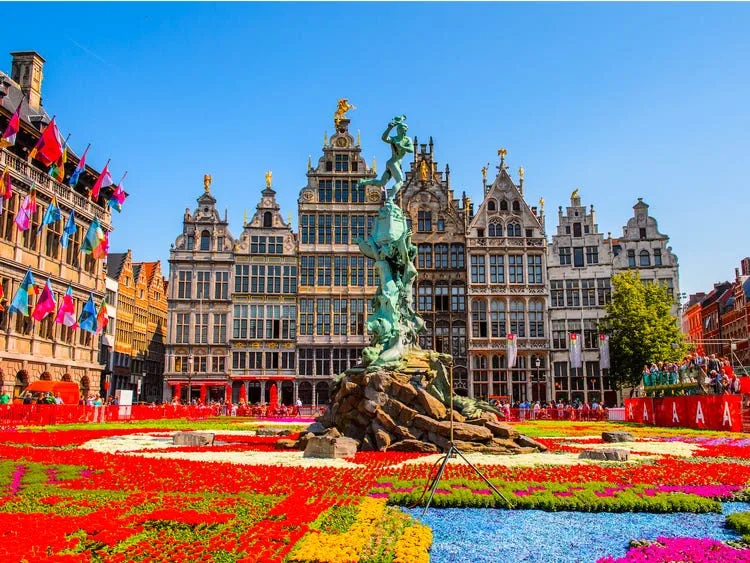 Belgium gallery view 4