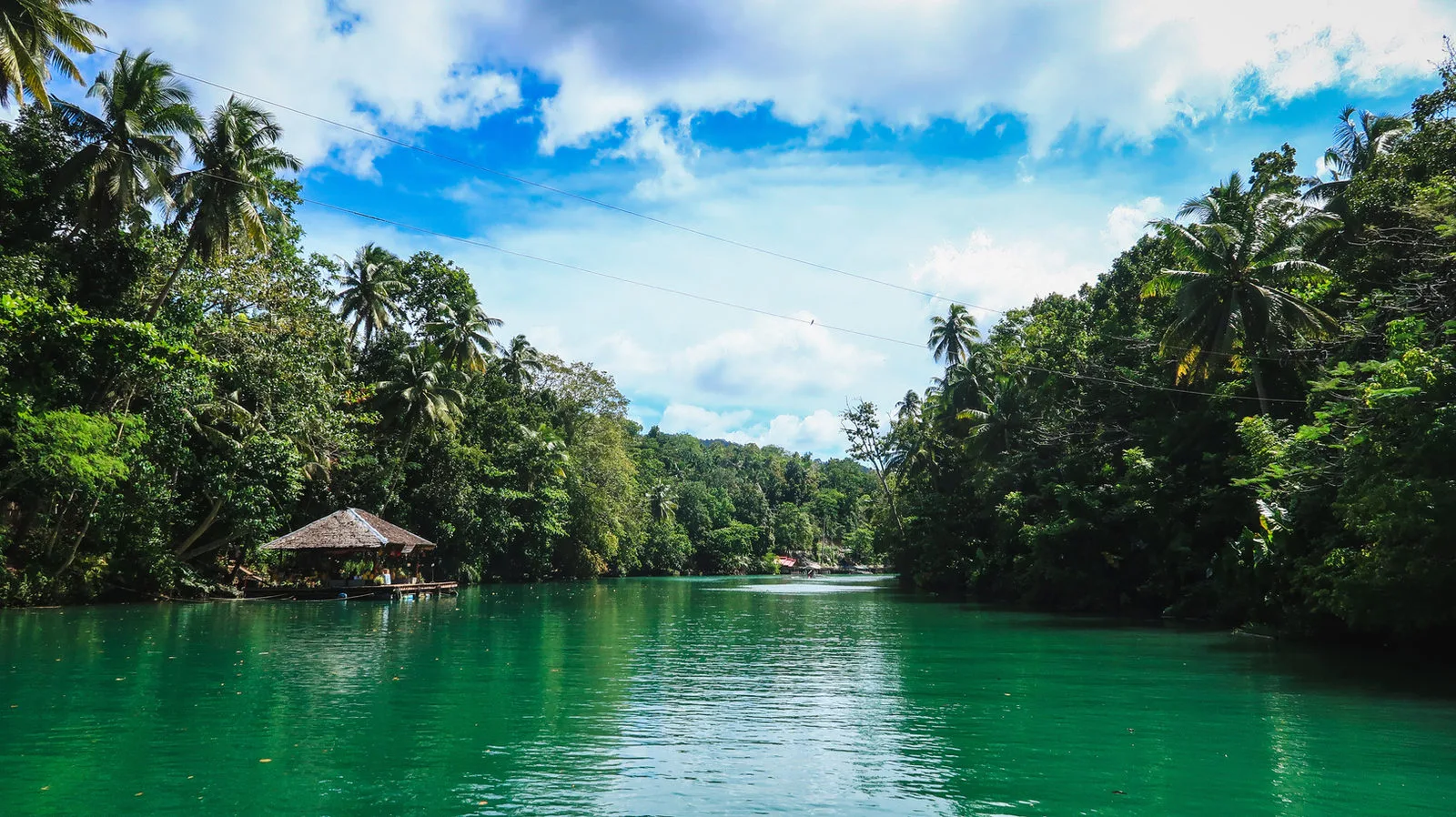 Bohol gallery view 2