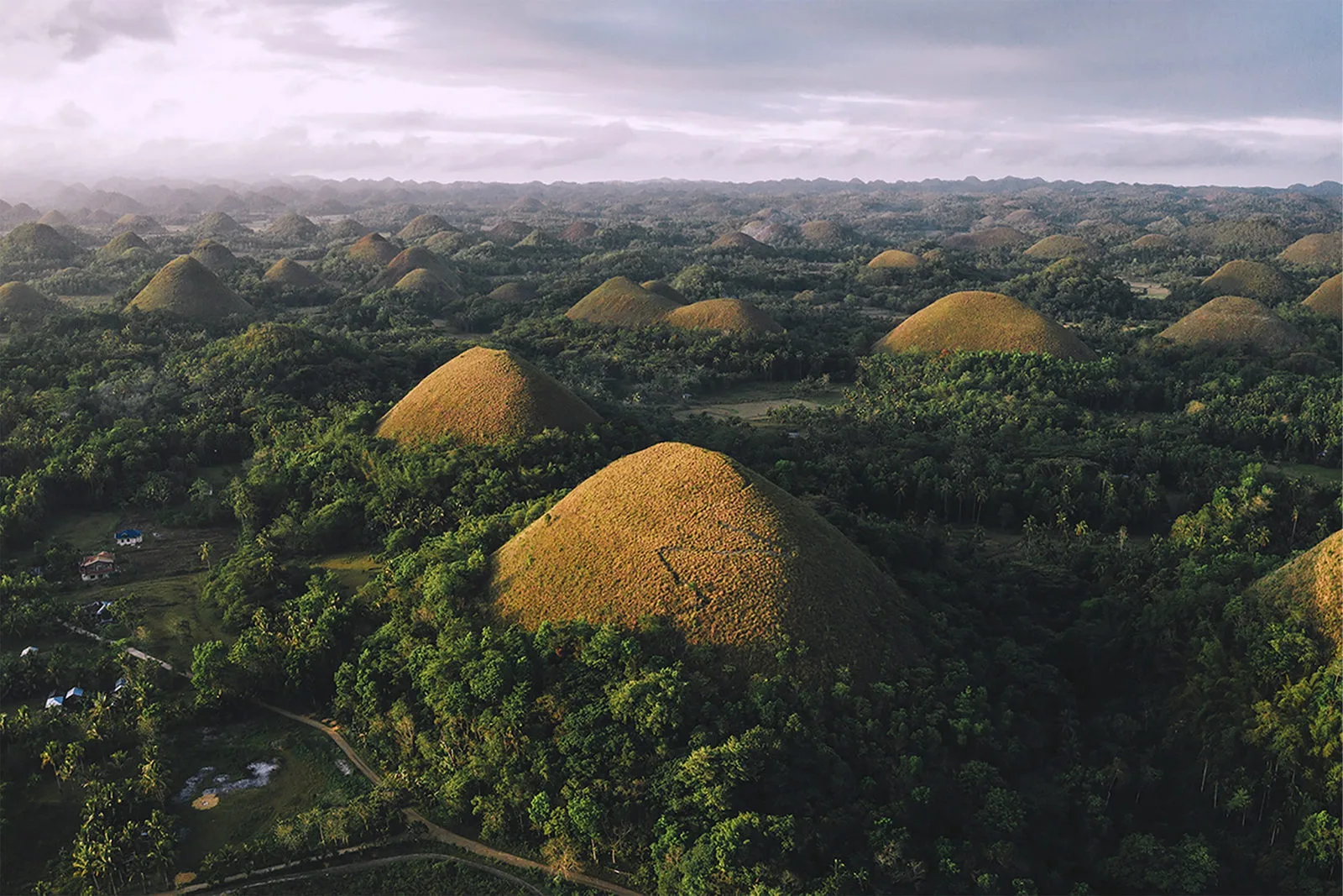 Bohol travel package
