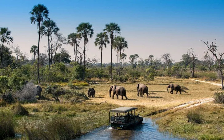 Botswana gallery view 2