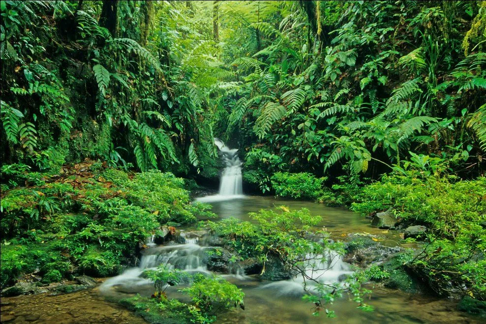 Costa Rica gallery view 3