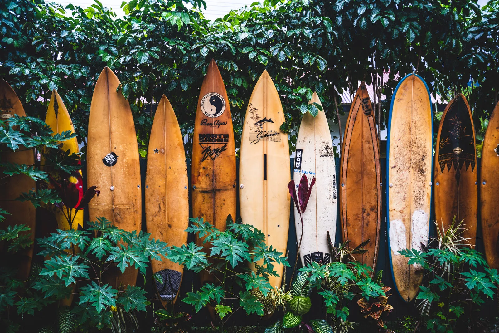 Hawaii gallery view 2