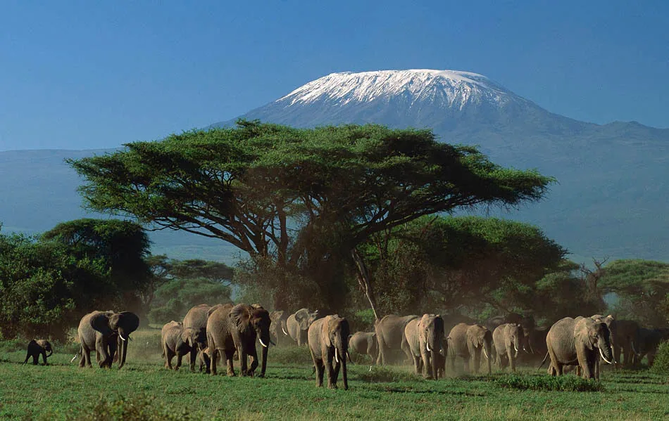 Kenya gallery view 4