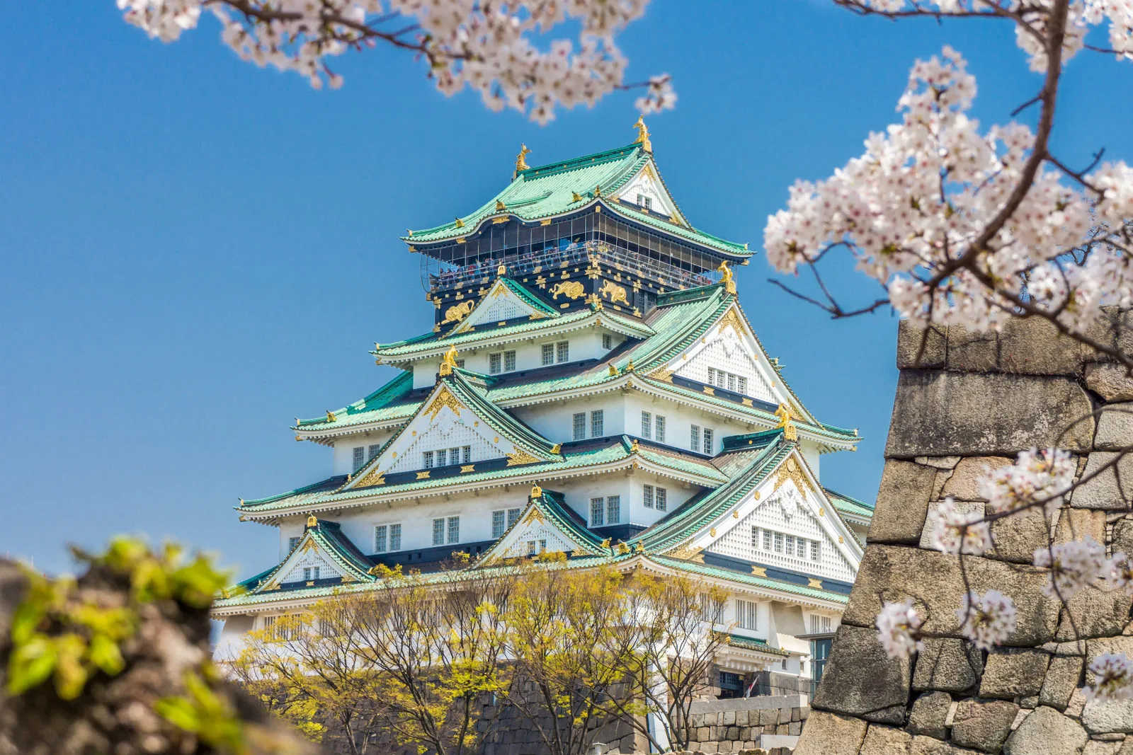 Osaka, Japan travel package