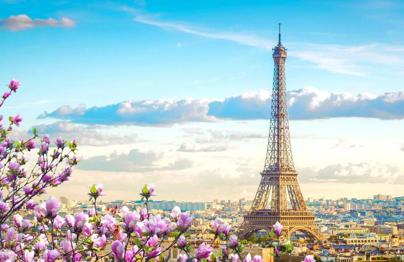 Paris & Switzerland travel package