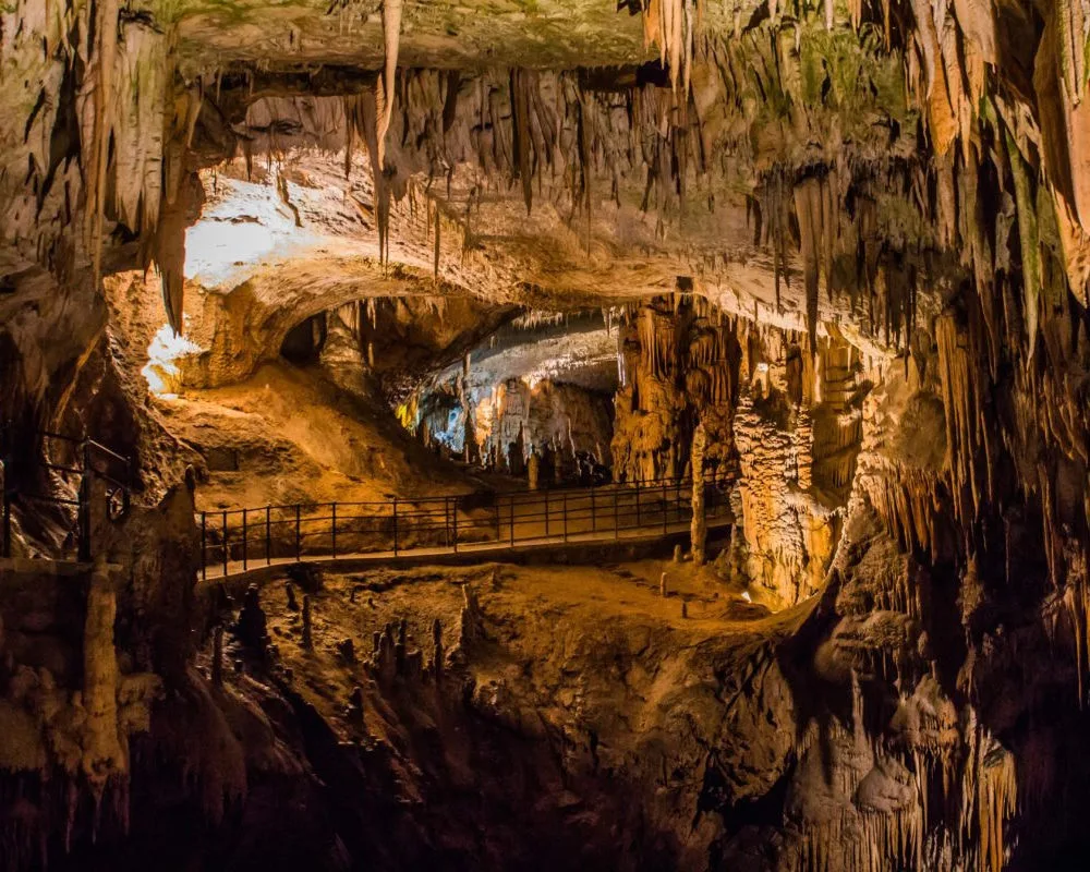 Slovenia gallery view 4